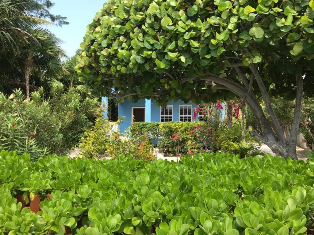 Sandy'S Secret Caye Caulker Exterior foto