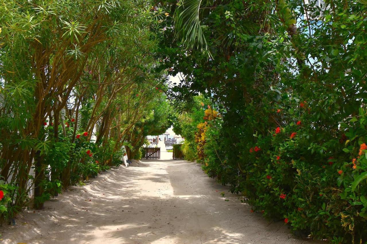 Sandy'S Secret Caye Caulker Exterior foto