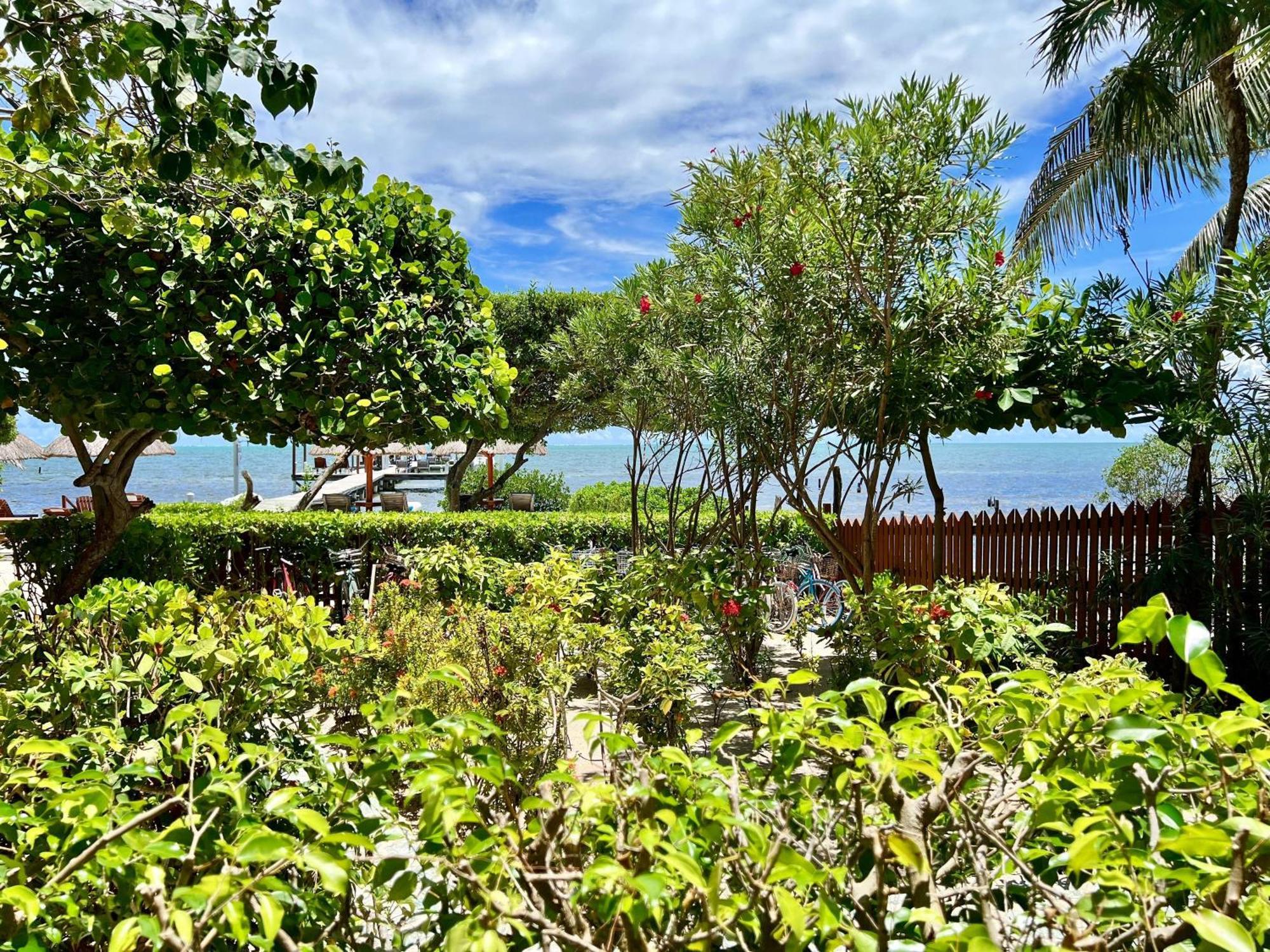 Sandy'S Secret Caye Caulker Exterior foto